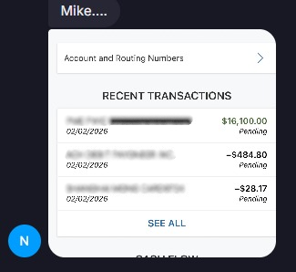 Bank statement showing $16,100 incoming transfer.